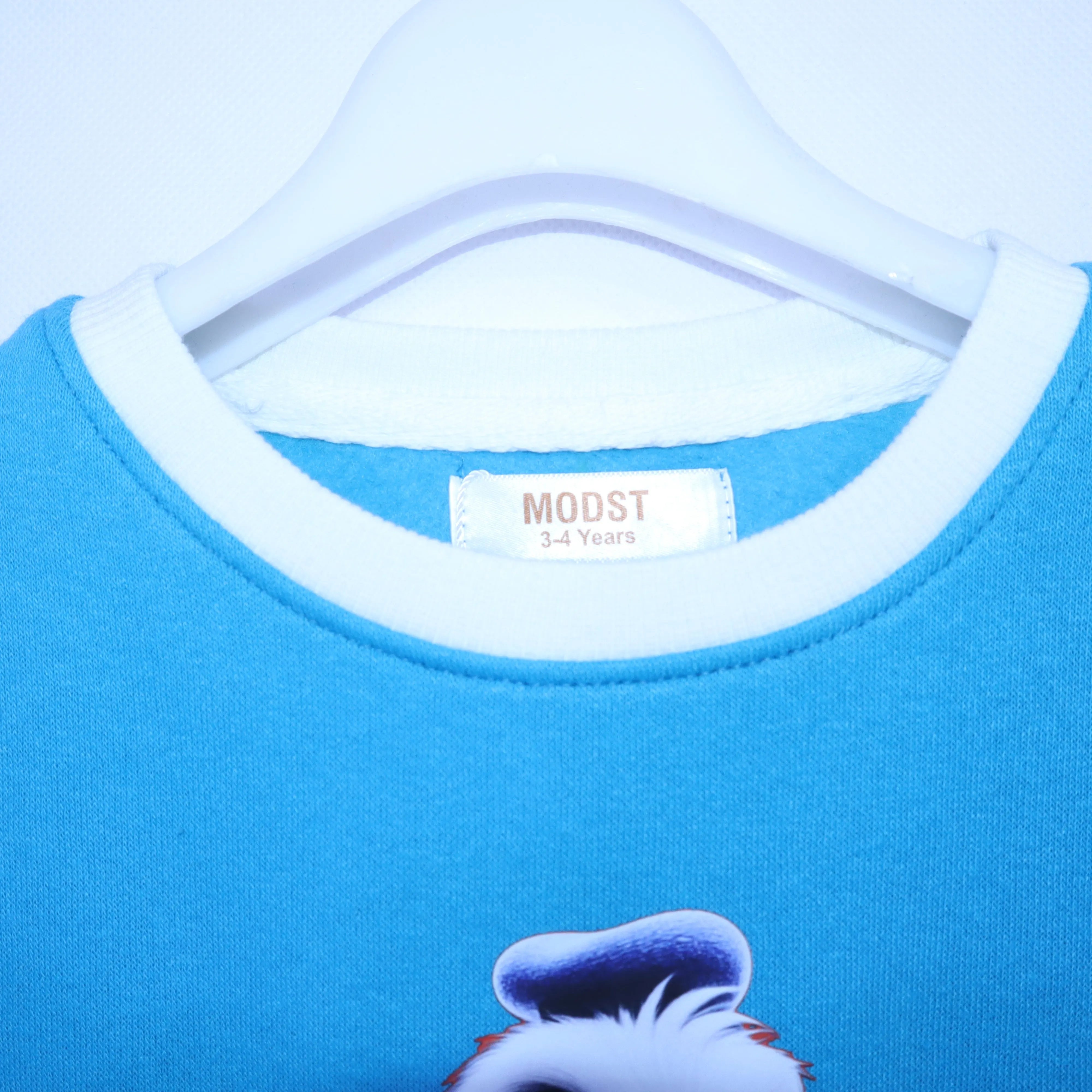 The Dapper Donald Duck Crewneck Sweatshirt MODST Online Store