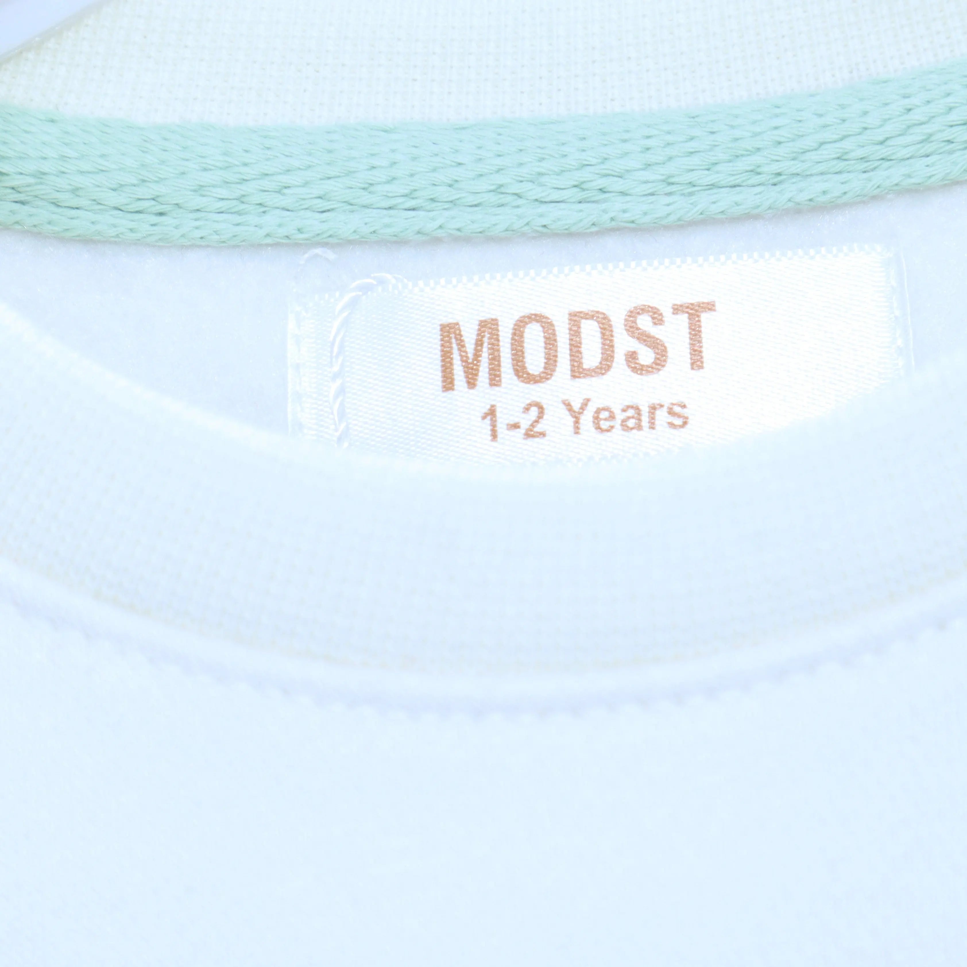 The "Skate Vibes" Panda Crewneck Sweatshirt MODST Online Store