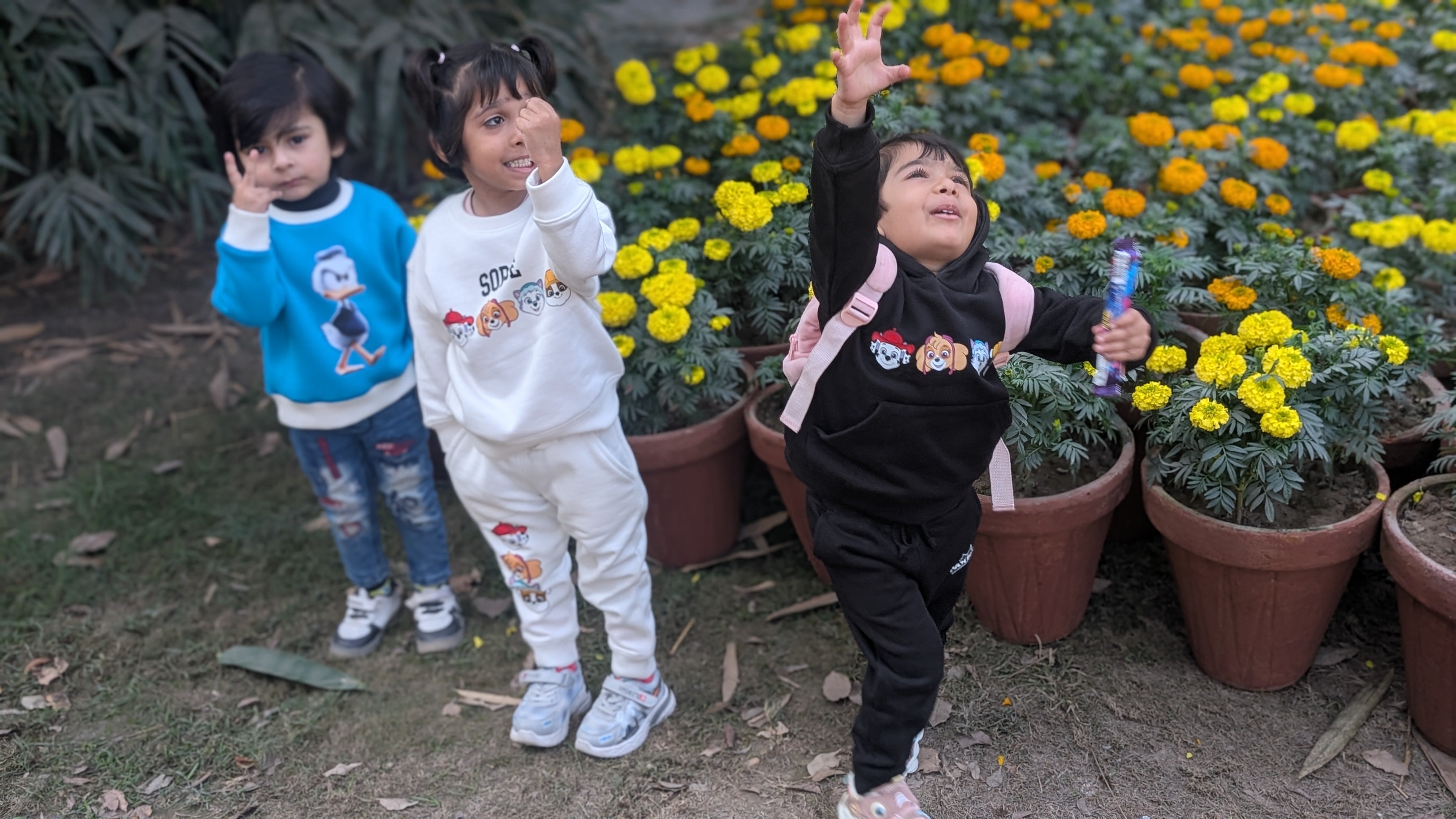 The Dapper Donald Duck Crewneck Sweatshirt MODST Online Store